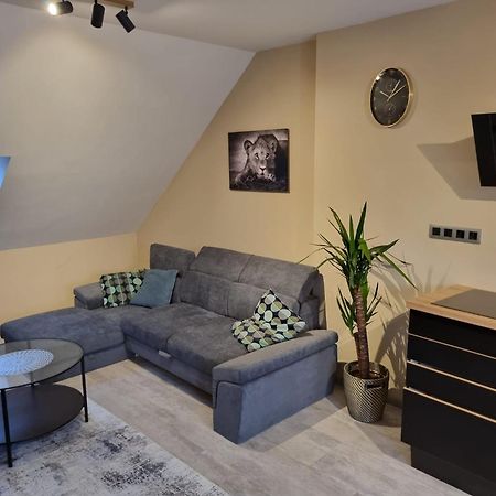Vltava Design Apartments Prague Extérieur photo